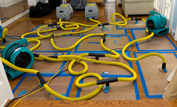 Professional Crawl Space Water Removal technician working in Endicott, NY
